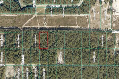 Land in Dunnellon, Florida № 2164619 - photo 2