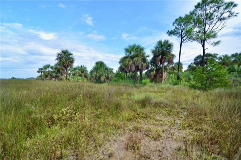 Terreno en venta en Perry, Florida № 1917092 - foto 2