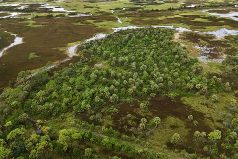 Terreno en venta en Perry, Florida № 1917092 - foto 7