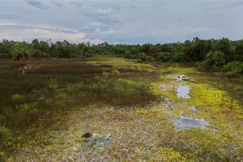 Terreno en venta en Perry, Florida № 1917092 - foto 10