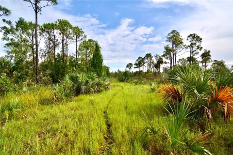 Terreno en venta en Perry, Florida № 1917092 - foto 13