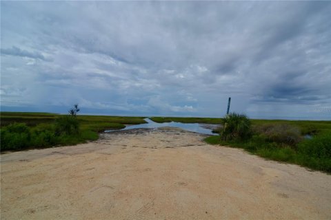 Terreno en venta en Perry, Florida № 1917092 - foto 29