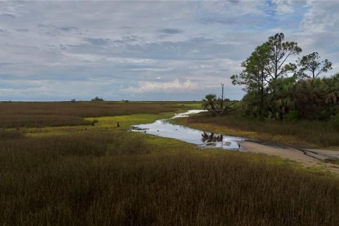 Terreno en venta en Perry, Florida № 1917092 - foto 22