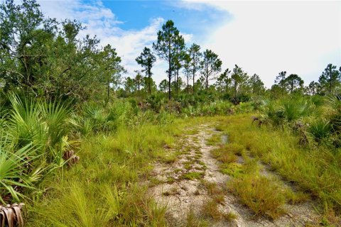 Terreno en venta en Perry, Florida № 1917092 - foto 14