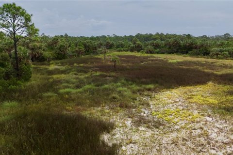 Terreno en venta en Perry, Florida № 1917092 - foto 9