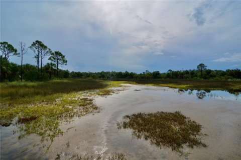 Terreno en venta en Perry, Florida № 1917092 - foto 25