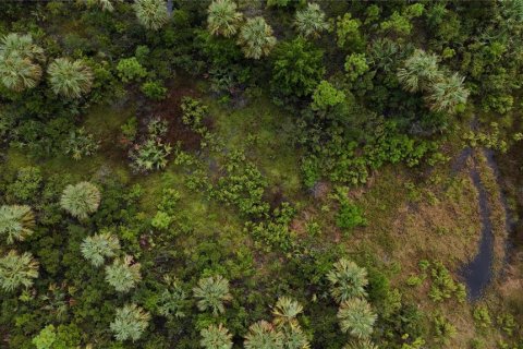 Terreno en venta en Perry, Florida № 1917092 - foto 18
