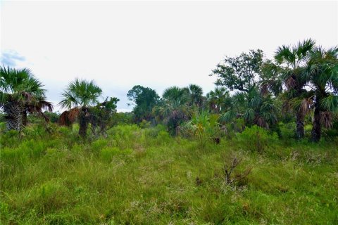 Terreno en venta en Perry, Florida № 1917092 - foto 24