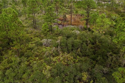 Terreno en venta en Perry, Florida № 1917092 - foto 11