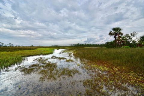 Terreno en venta en Perry, Florida № 1917092 - foto 20