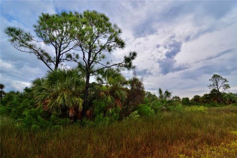 Terreno en venta en Perry, Florida № 1917092 - foto 3