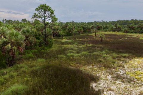 Terreno en venta en Perry, Florida № 1917092 - foto 28