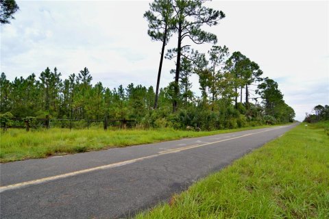 Terreno en venta en Perry, Florida № 1917092 - foto 17