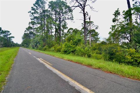 Terreno en venta en Perry, Florida № 1917092 - foto 16