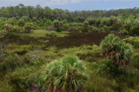 Terreno en venta en Perry, Florida № 1917092 - foto 8