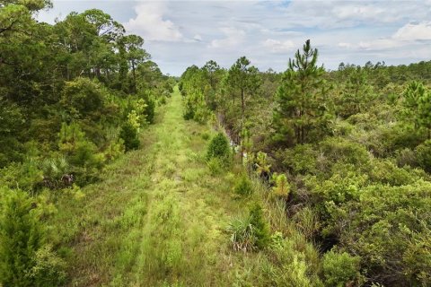 Terreno en venta en Perry, Florida № 1917092 - foto 4