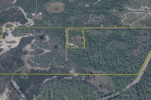 Terreno en venta en Perry, Florida № 1917092 - foto 30