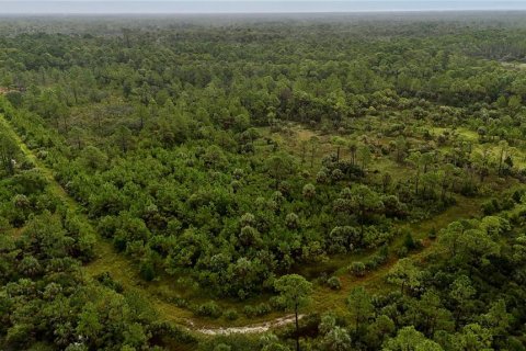 Terreno en venta en Perry, Florida № 1917092 - foto 6