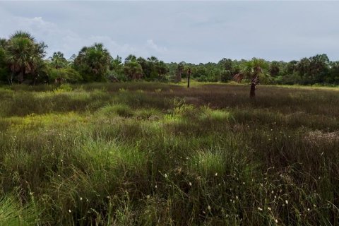 Terreno en venta en Perry, Florida № 1917092 - foto 5