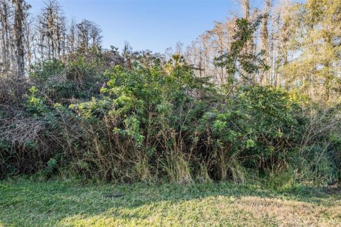 Condominio en alquiler en Lutz, Florida, 2 dormitorios, 114.55 m2 № 2115951 - foto 29