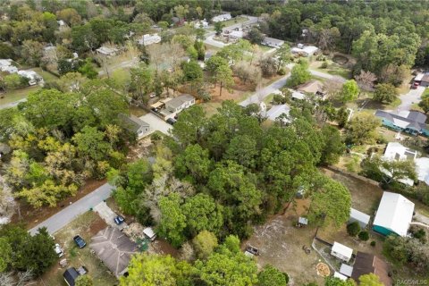 Land in Homosassa, Florida № 2228883 - photo 24