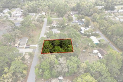 Land in Homosassa, Florida № 2228883 - photo 14