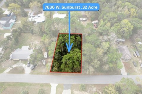 Land in Homosassa, Florida № 2228883