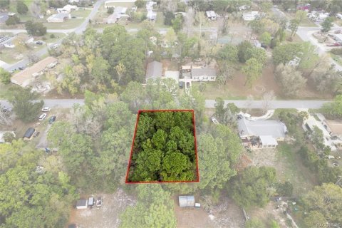 Land in Homosassa, Florida № 2228883 - photo 12