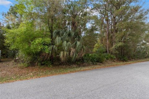 Land in Homosassa, Florida № 2228883 - photo 19
