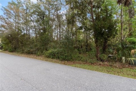 Land in Homosassa, Florida № 2228883 - photo 10
