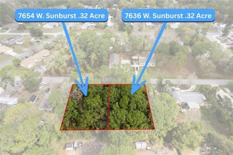 Land in Homosassa, Florida № 2228883 - photo 7