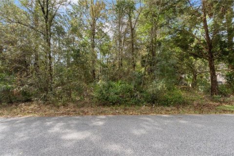 Land in Homosassa, Florida № 2228883 - photo 3