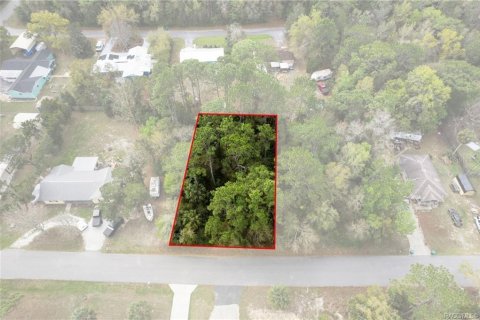 Land in Homosassa, Florida № 2228883 - photo 2