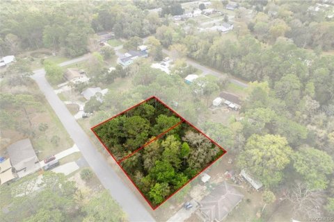 Land in Homosassa, Florida № 2228883 - photo 15