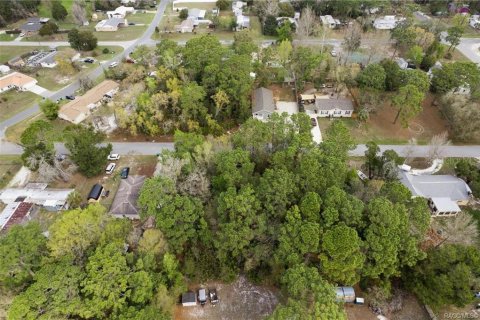 Land in Homosassa, Florida № 2228883 - photo 22