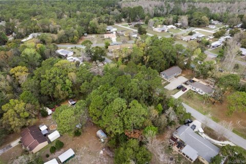 Land in Homosassa, Florida № 2228883 - photo 20