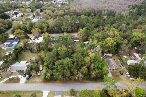 Land in Homosassa, Florida № 2228883 - photo 18