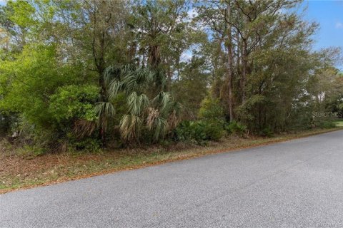 Land in Homosassa, Florida № 2228883 - photo 16