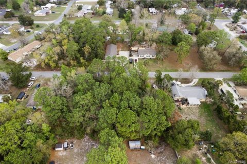 Land in Homosassa, Florida № 2228883 - photo 21
