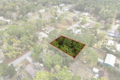 Land in Homosassa, Florida № 2228883 - photo 11