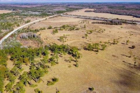 Propiedad comercial en venta en Okeechobee, Florida № 2262299 - foto 7