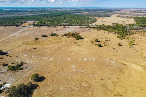 Propiedad comercial en venta en Okeechobee, Florida № 2262299 - foto 14