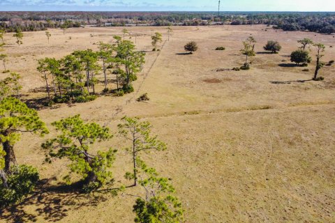 Propiedad comercial en venta en Okeechobee, Florida № 2262299 - foto 23