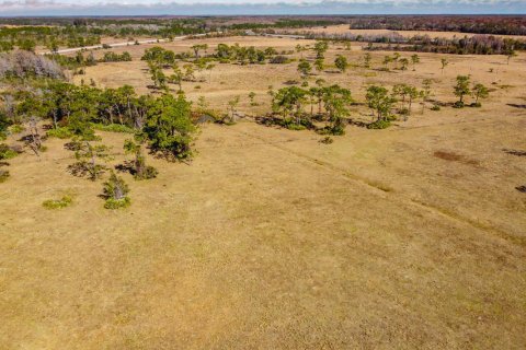 Propiedad comercial en venta en Okeechobee, Florida № 2262299 - foto 22