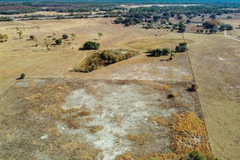 Propiedad comercial en venta en Okeechobee, Florida № 2262299 - foto 8