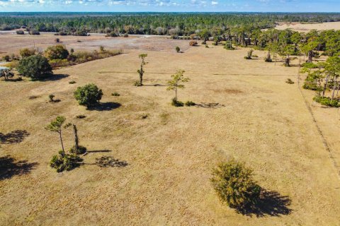 Propiedad comercial en venta en Okeechobee, Florida № 2262299 - foto 21