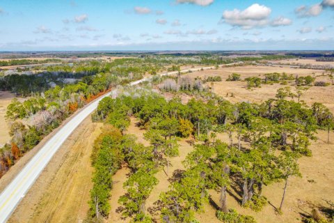 Propiedad comercial en venta en Okeechobee, Florida № 2262299 - foto 6