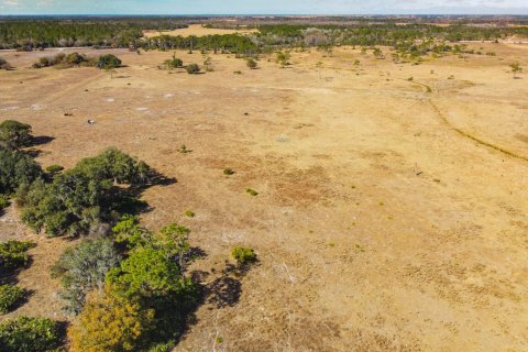 Propiedad comercial en venta en Okeechobee, Florida № 2262299 - foto 19