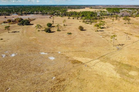 Propiedad comercial en venta en Okeechobee, Florida № 2262299 - foto 20