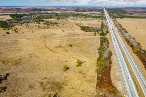 Propiedad comercial en venta en Okeechobee, Florida № 2262299 - foto 15
